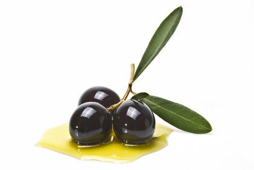 Olive (4).jpg